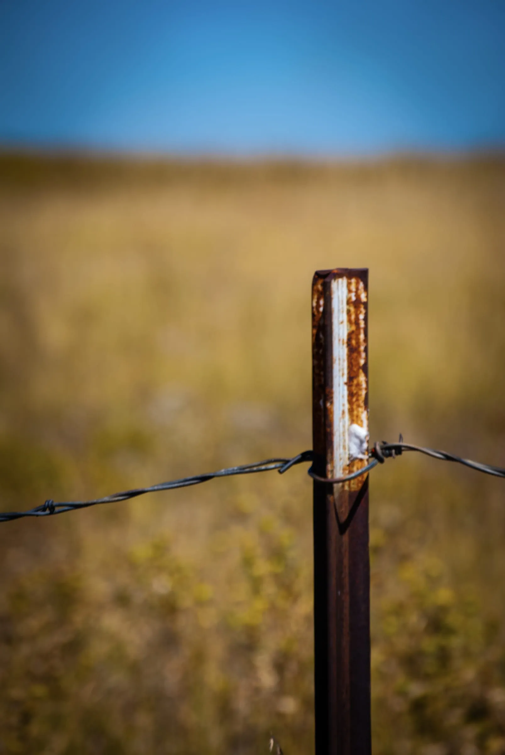 A rusted steel fence post strung with barbed wire against a blurred field of dry yellow grass and deep blue sky