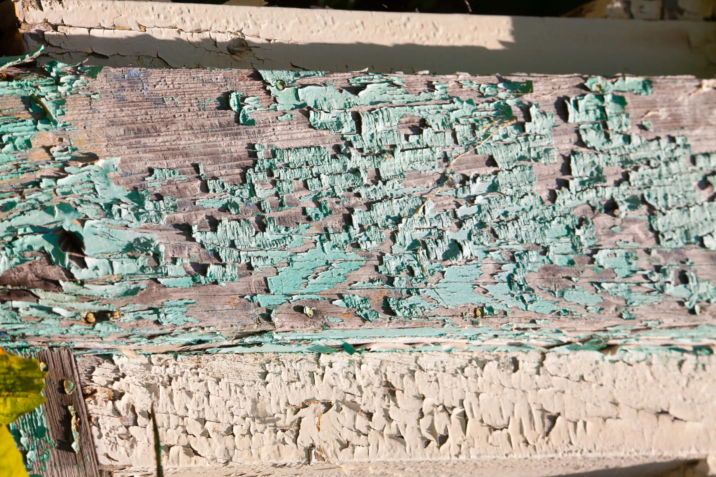 Close-up of green and white paint flaking off weathered wooden trim