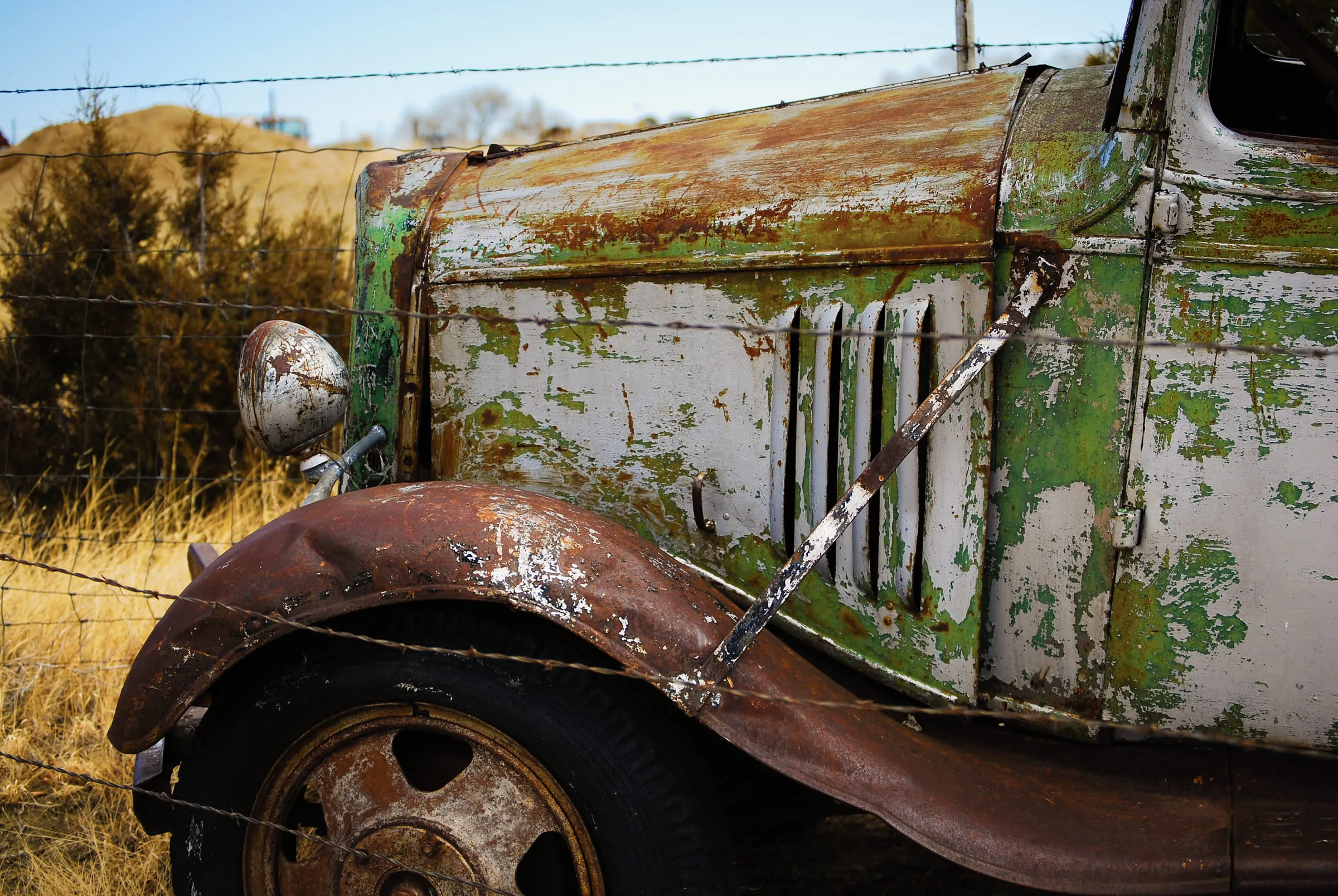 Side view of the same derelict truck, its cab stripped to bare rusted metal and flaking paint
